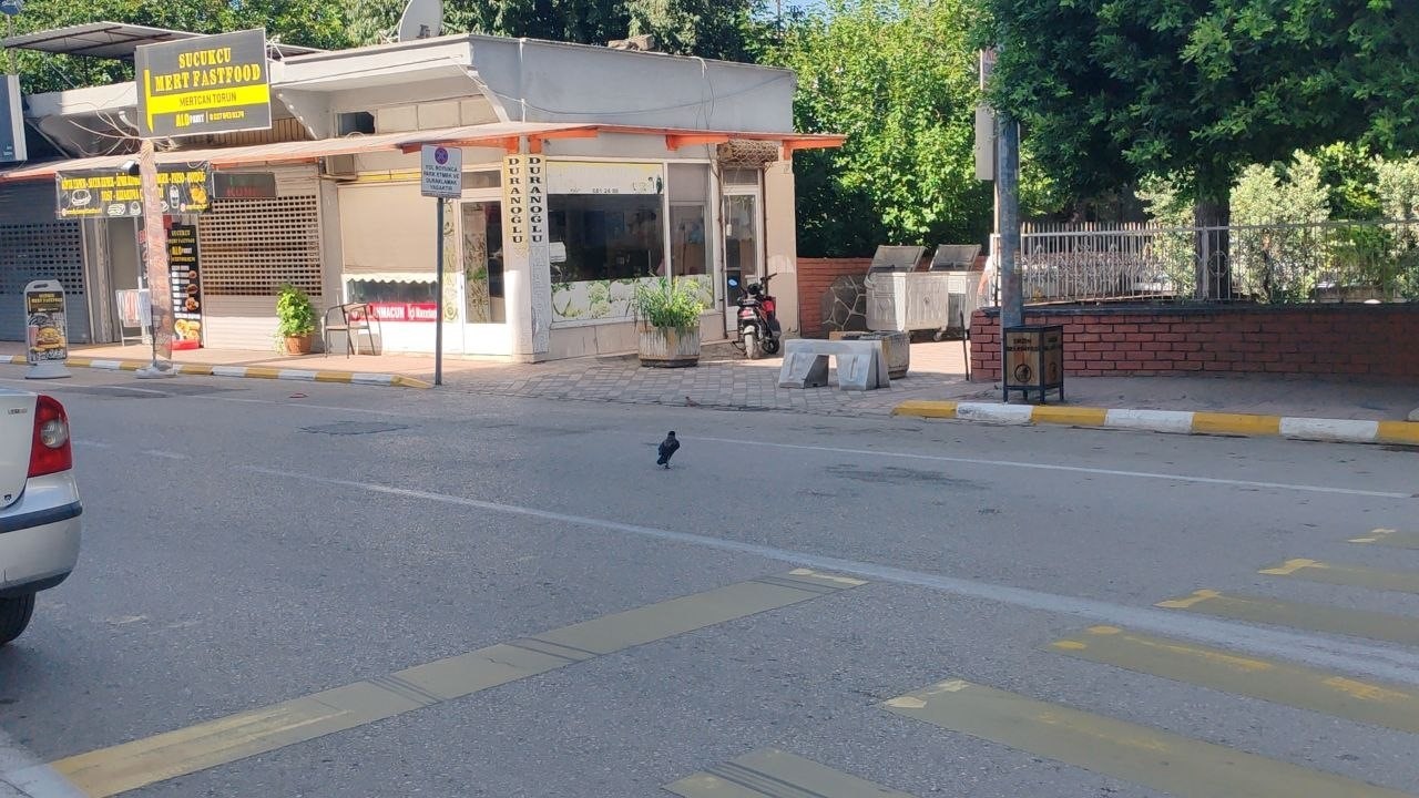 Vatandaşın ‘Paramı ver’ sözlerini umursamayan mahallelinin dostu karga, ağzındaki parayla görüntülendi