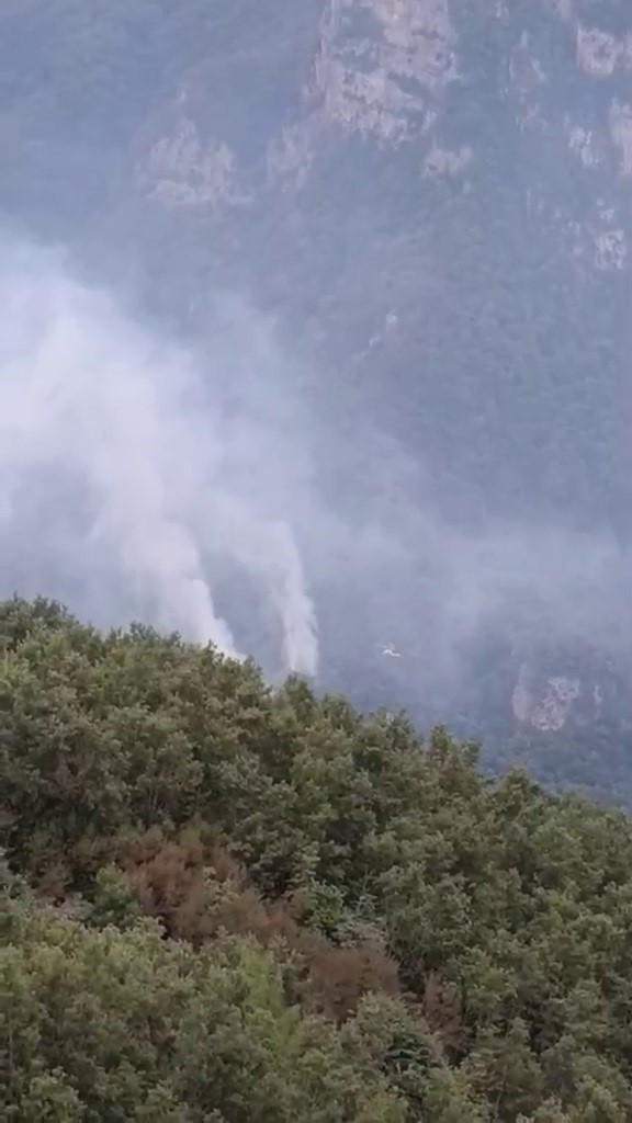 Hatay’da orman yangını: Ekiplerin müdahalesi başladı