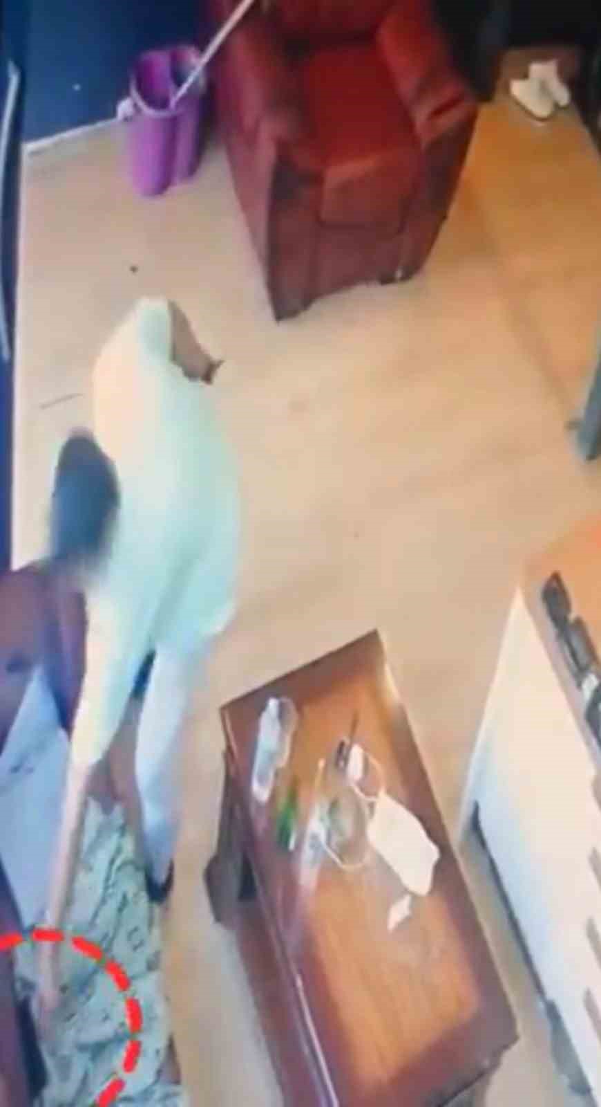 Bingöl’de iş yerinden hırsızlık yapan şüpheli tutuklandı