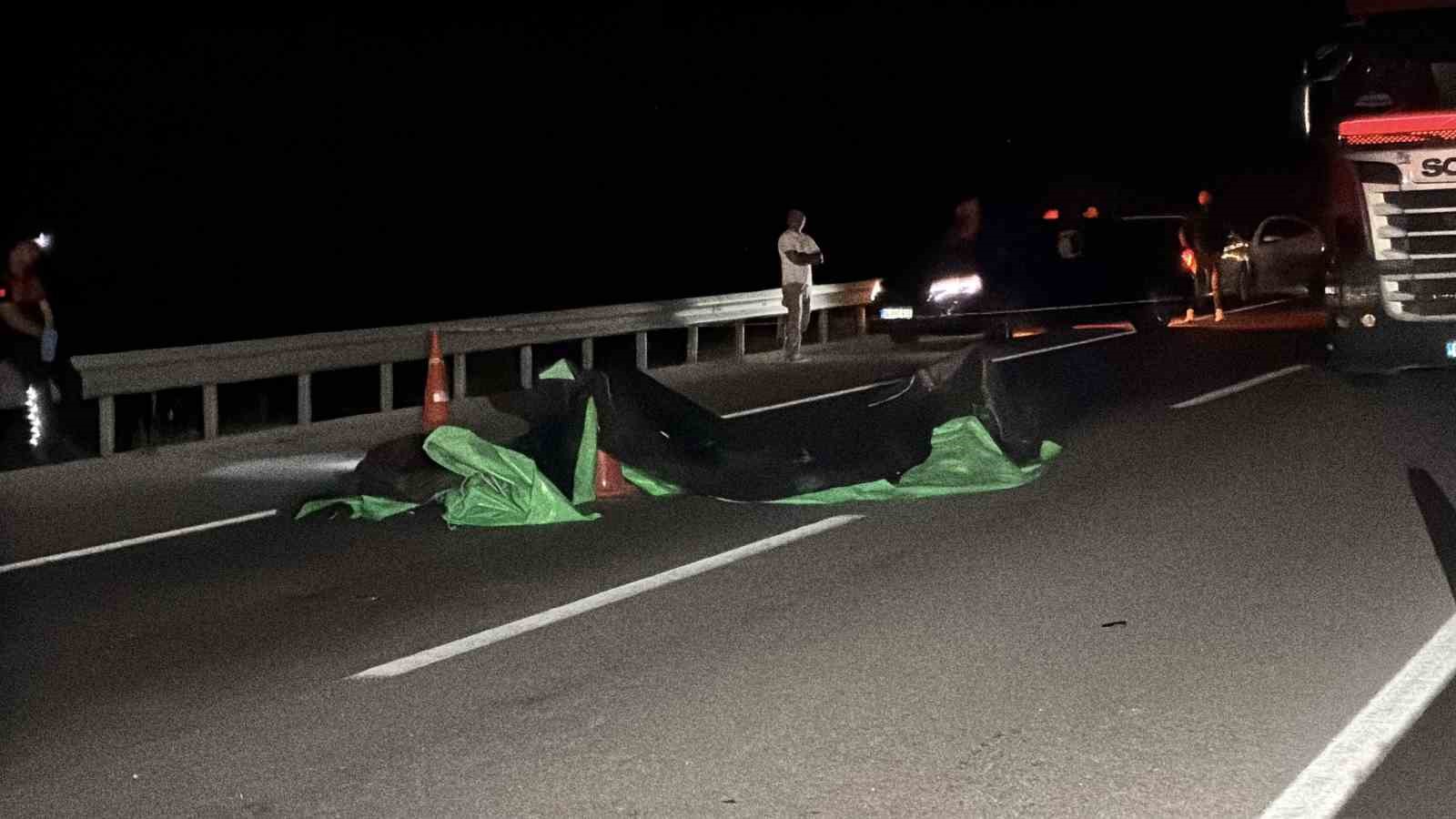 Çanakkale’de aracın çarptığı yaşlı adam hayatını kaybetti