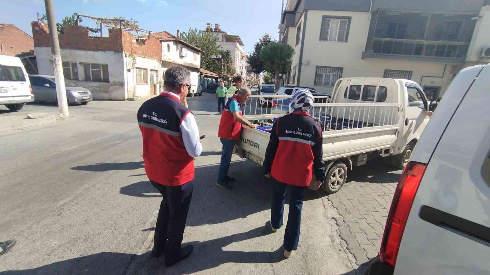 Aydın’da kuru incir için sıkı denetim