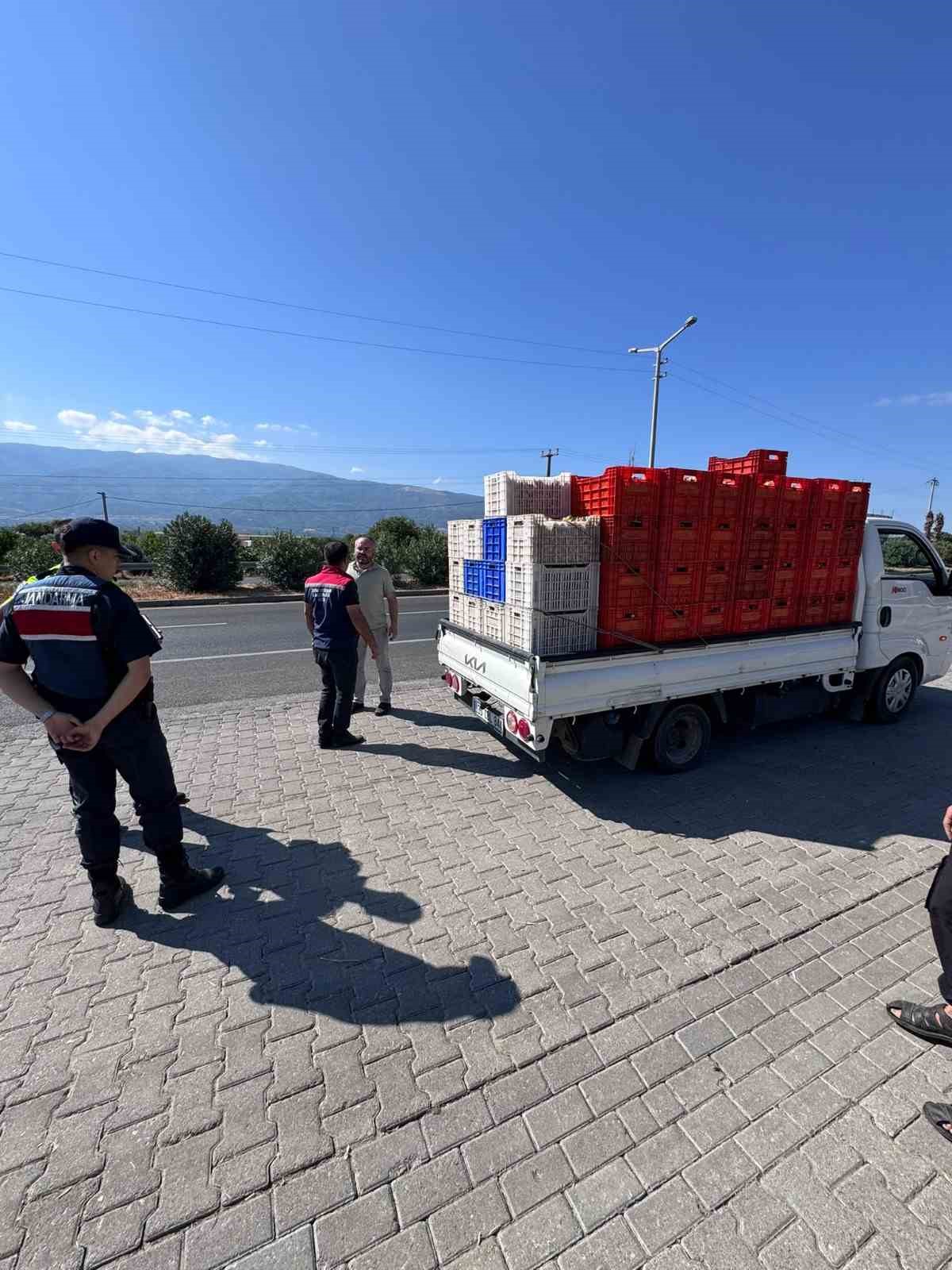 Aydın’da kuru incir için sıkı denetim
