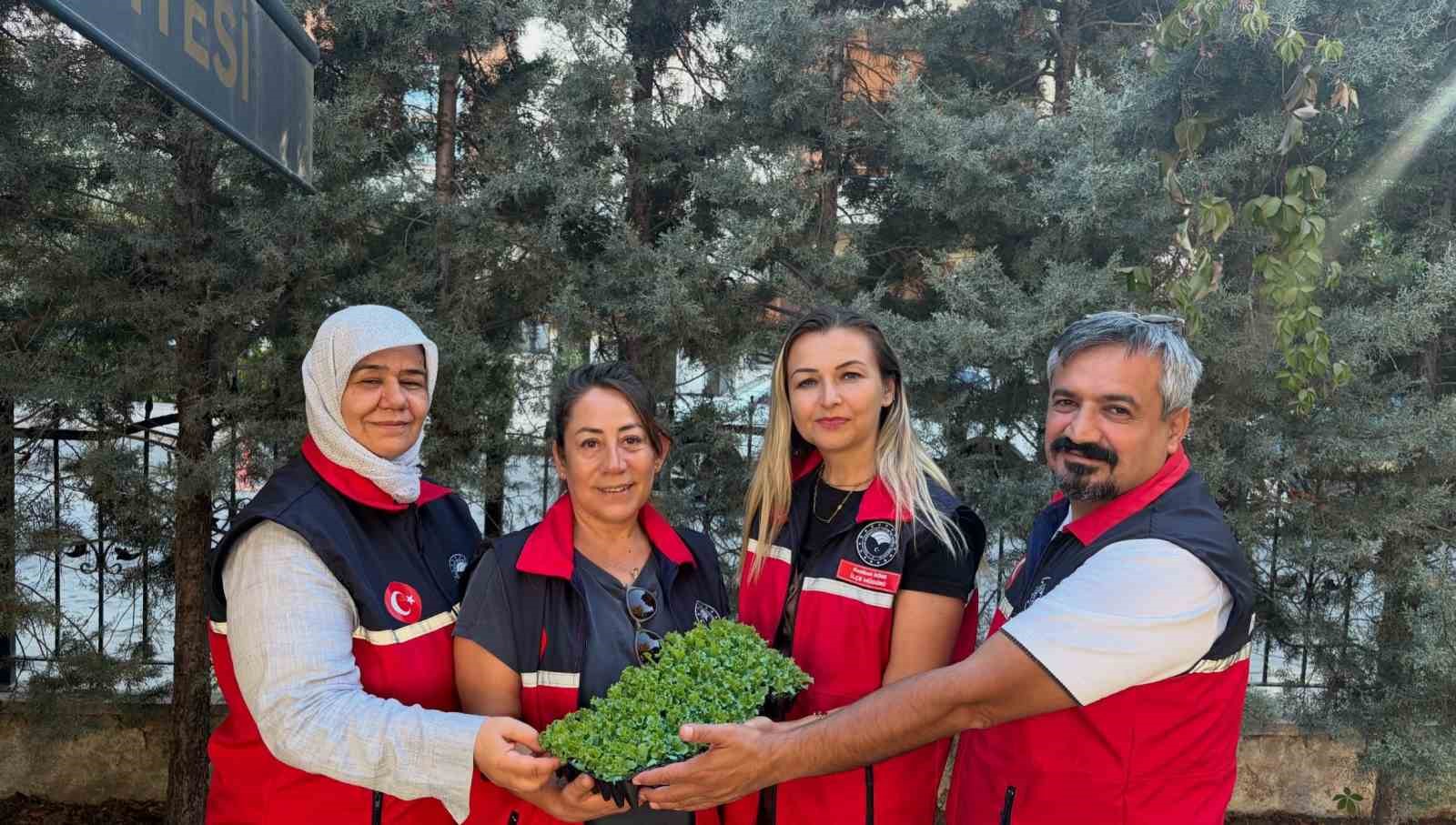 Burhaniye’de çiftçilere 300 bin 300 adet marul fidesi dağıtıldı