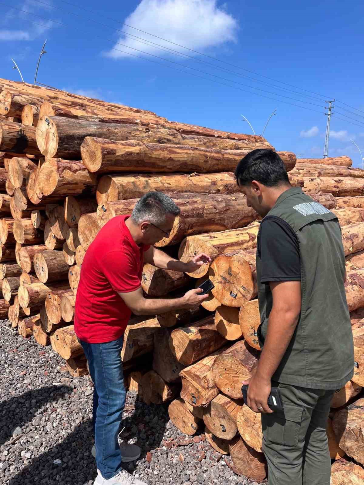 Hatay Orman Bölge Müdürü Günay, İskenderun Sahil Orman Deposu’nda incelemelerde bulundu