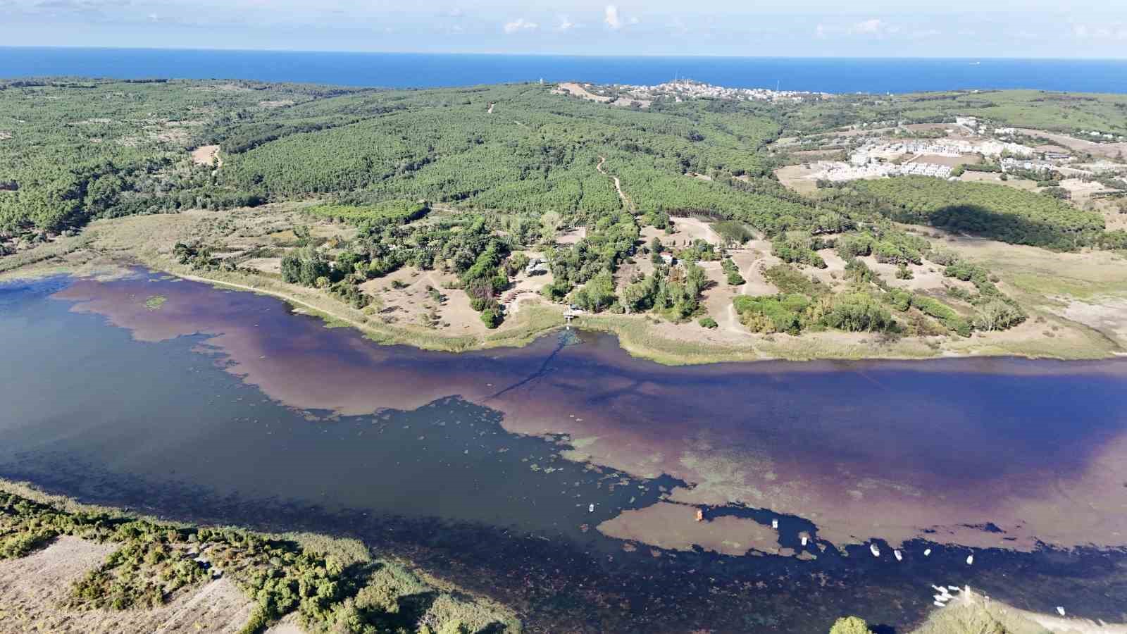 Terkos Gölü pembe çiçeklerle kaplandı: Görsel şölen havadan görüntülendi