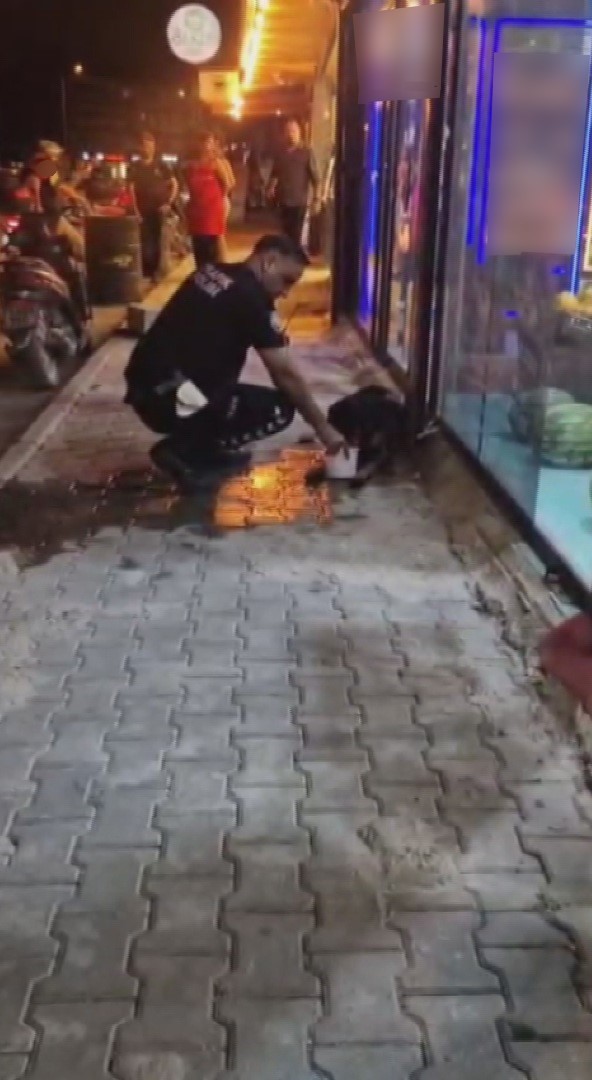 Köpeği silahla vurdu, fareyi vurmak isterken köpeği yanlışlıkla vurduğunu söyleyerek kendini savundu