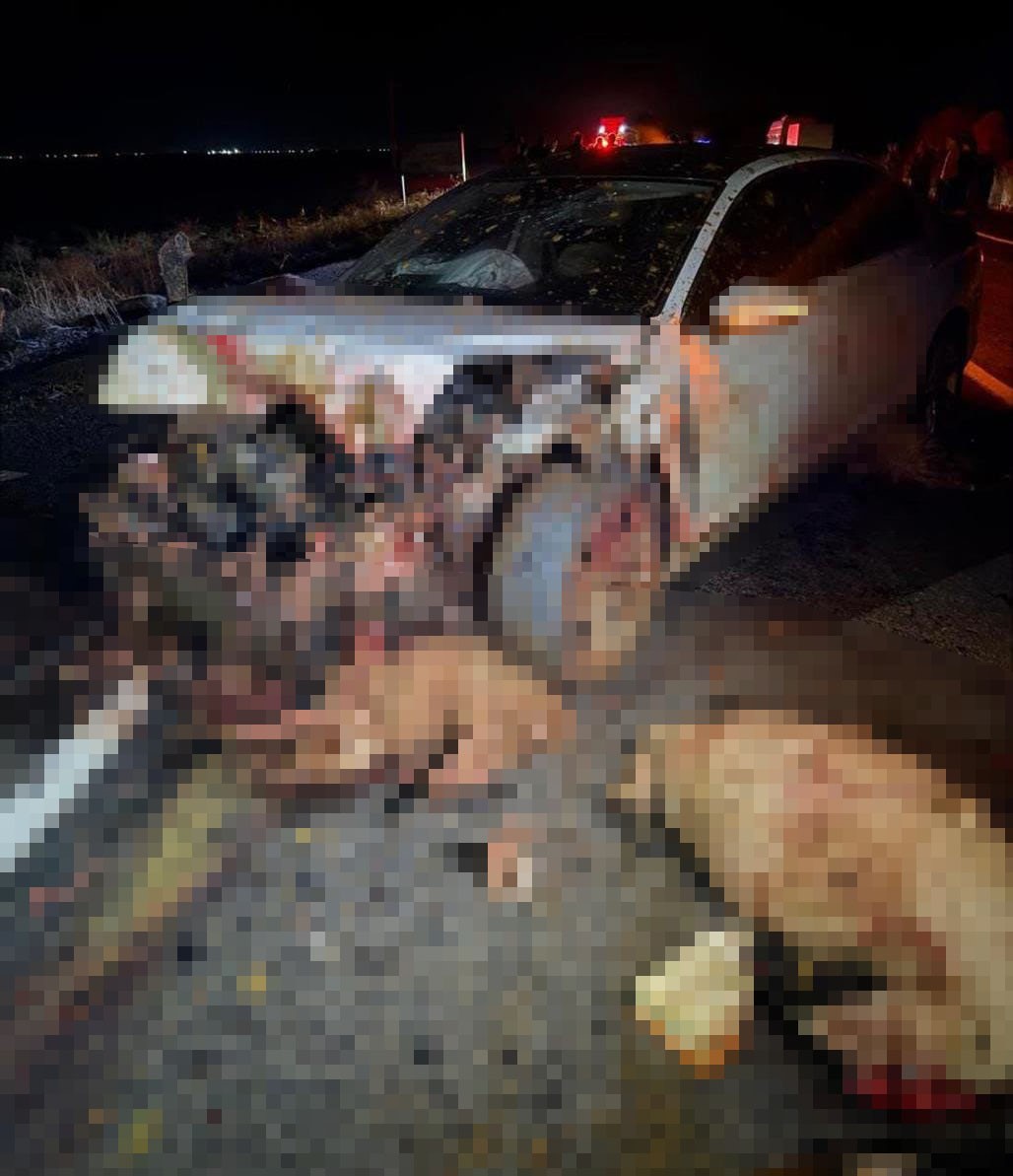 Şanlıurfa’da koyun sürüsüne çarpan otomobilin sürücüsü öldü