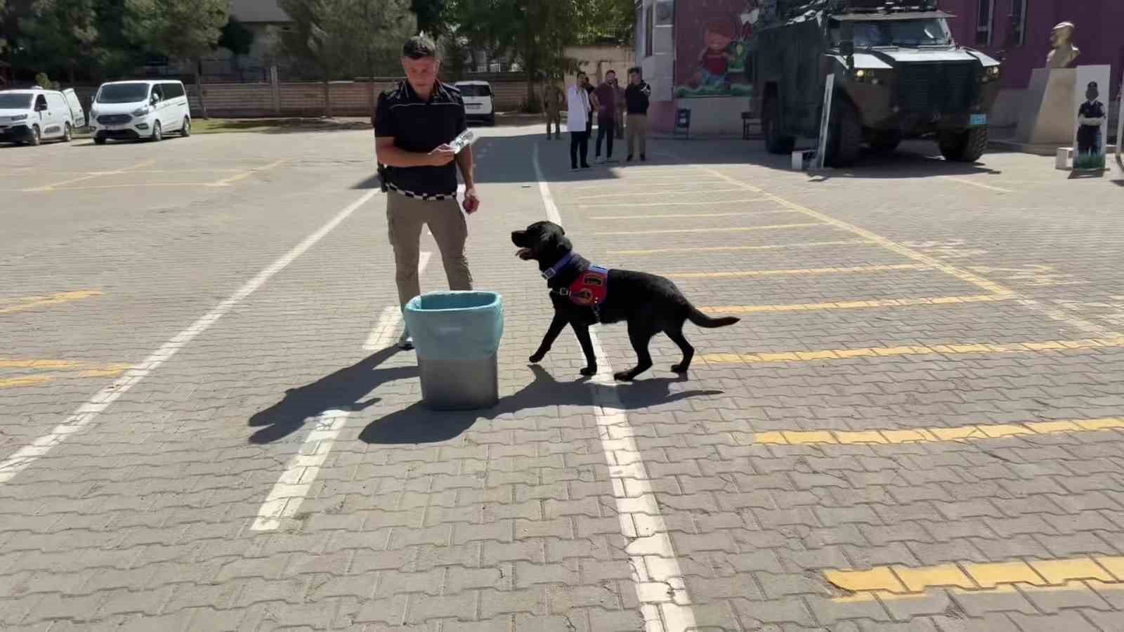 Batman’da jandarmadan miniklere unutulmaz İlköğretim Haftası sürprizi