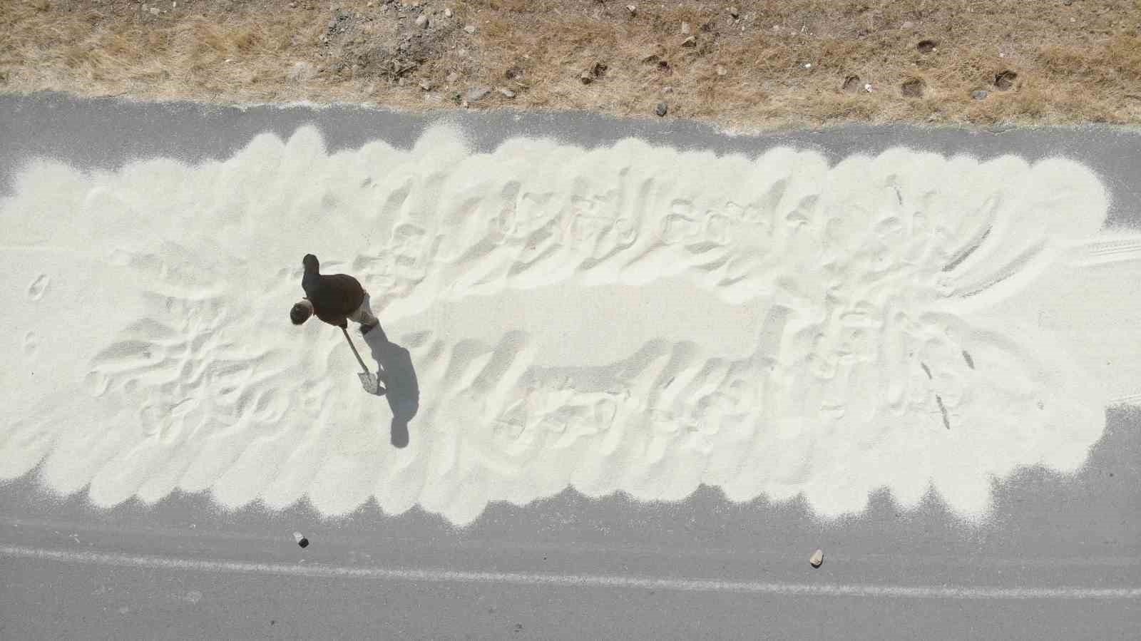 Kahramanmaraş’ta ak darı hasadına başlandı
