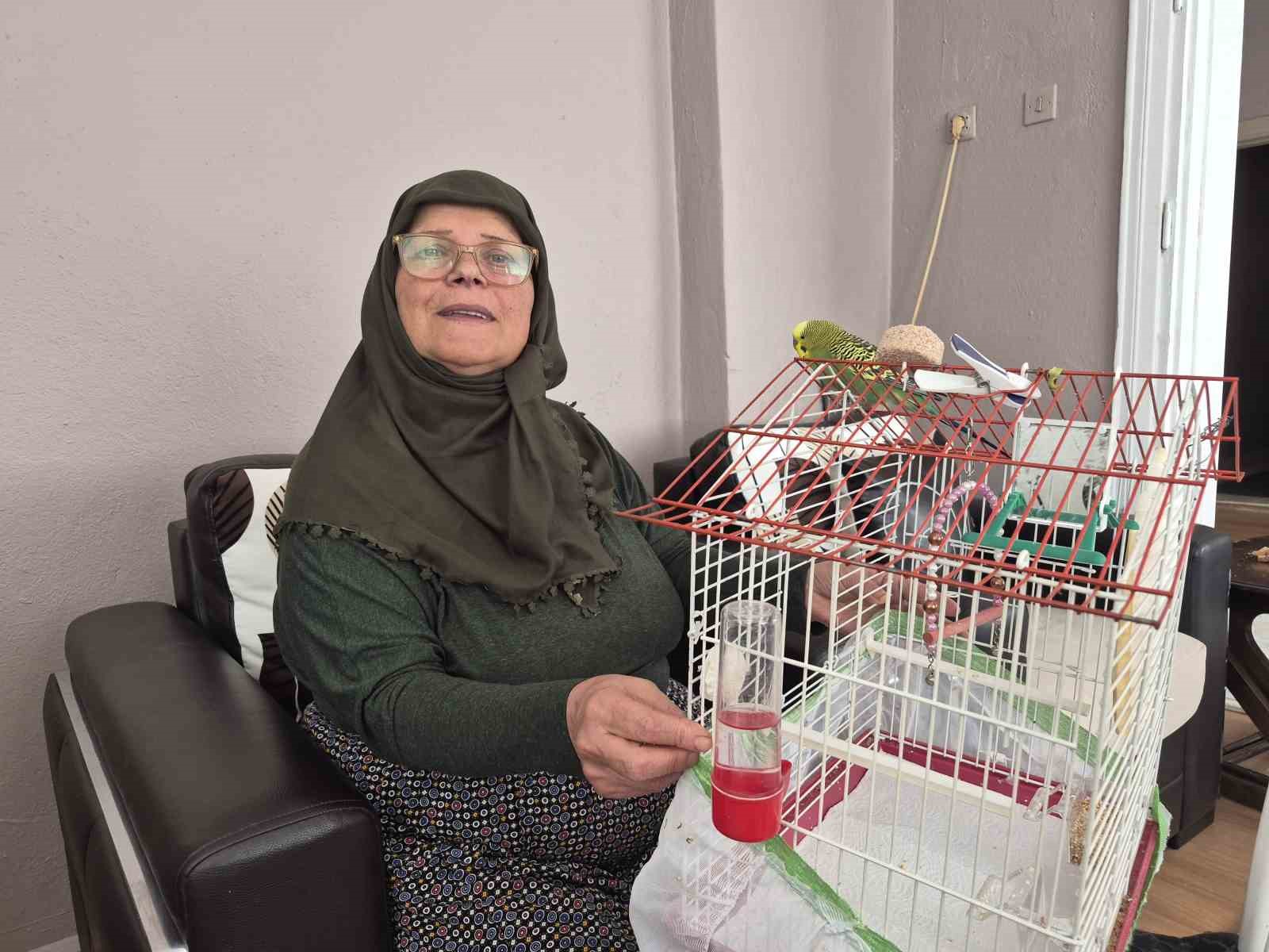 Ölmek üzereyken sahiplendiği muhabbet kuşu hayat arkadaşı oldu