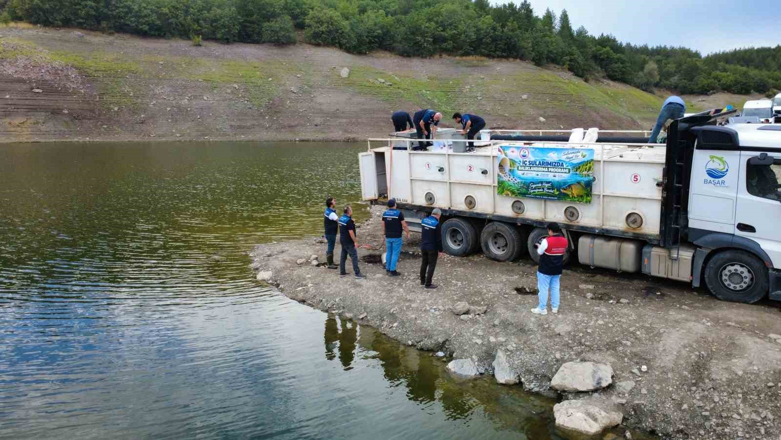 Kastamonu’da göletlere 800 bin sazan balığı yavrusu salındı