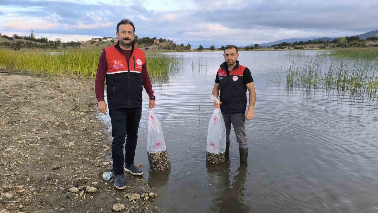 Kastamonu’da göletlere 800 bin sazan balığı yavrusu salındı