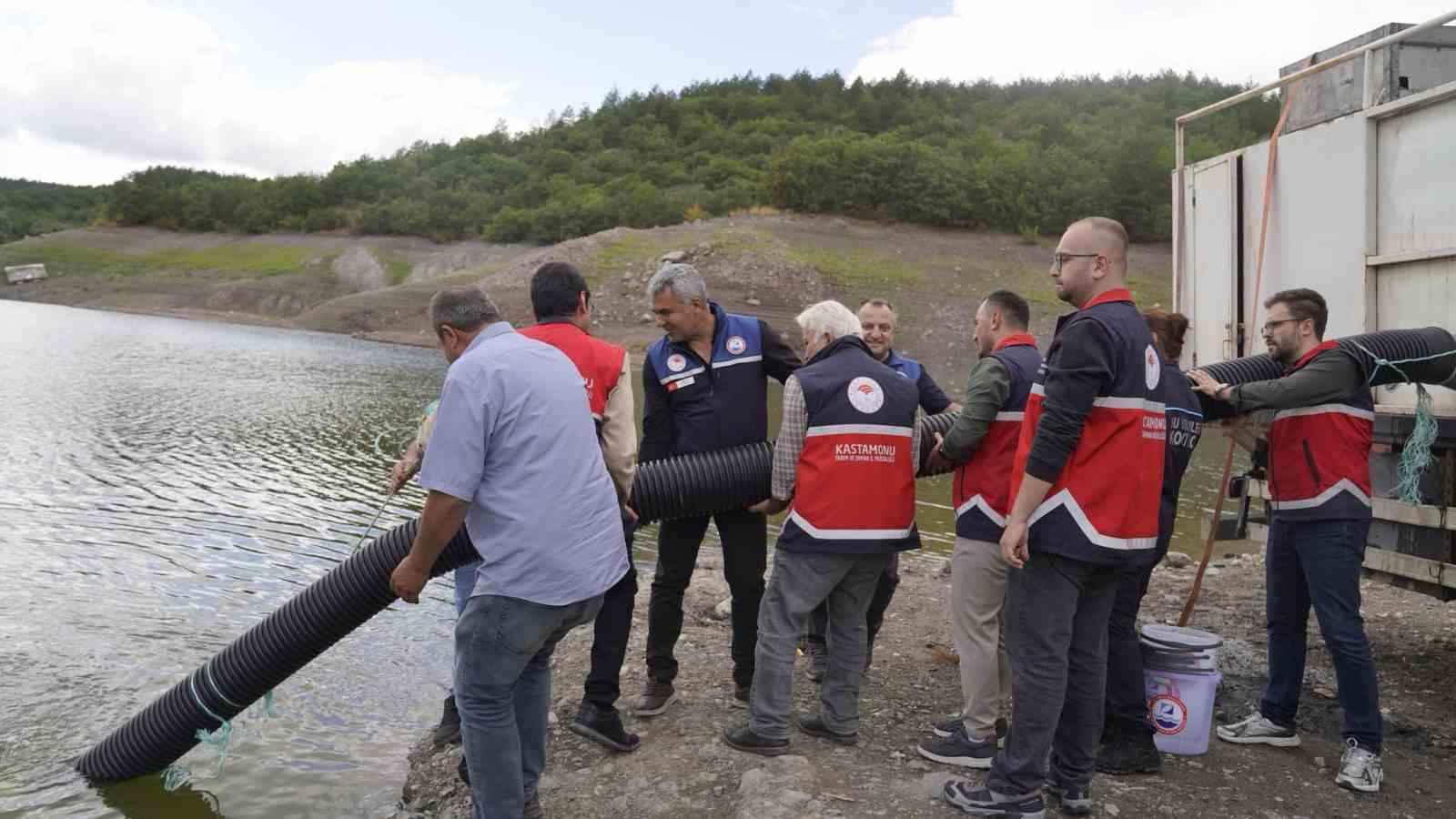 Kastamonu’da göletlere 800 bin sazan balığı yavrusu salındı