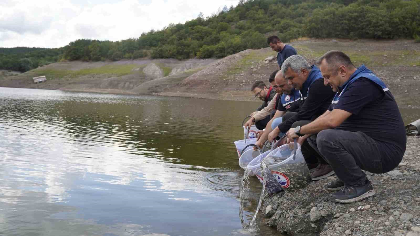 Kastamonu’da göletlere 800 bin sazan balığı yavrusu salındı