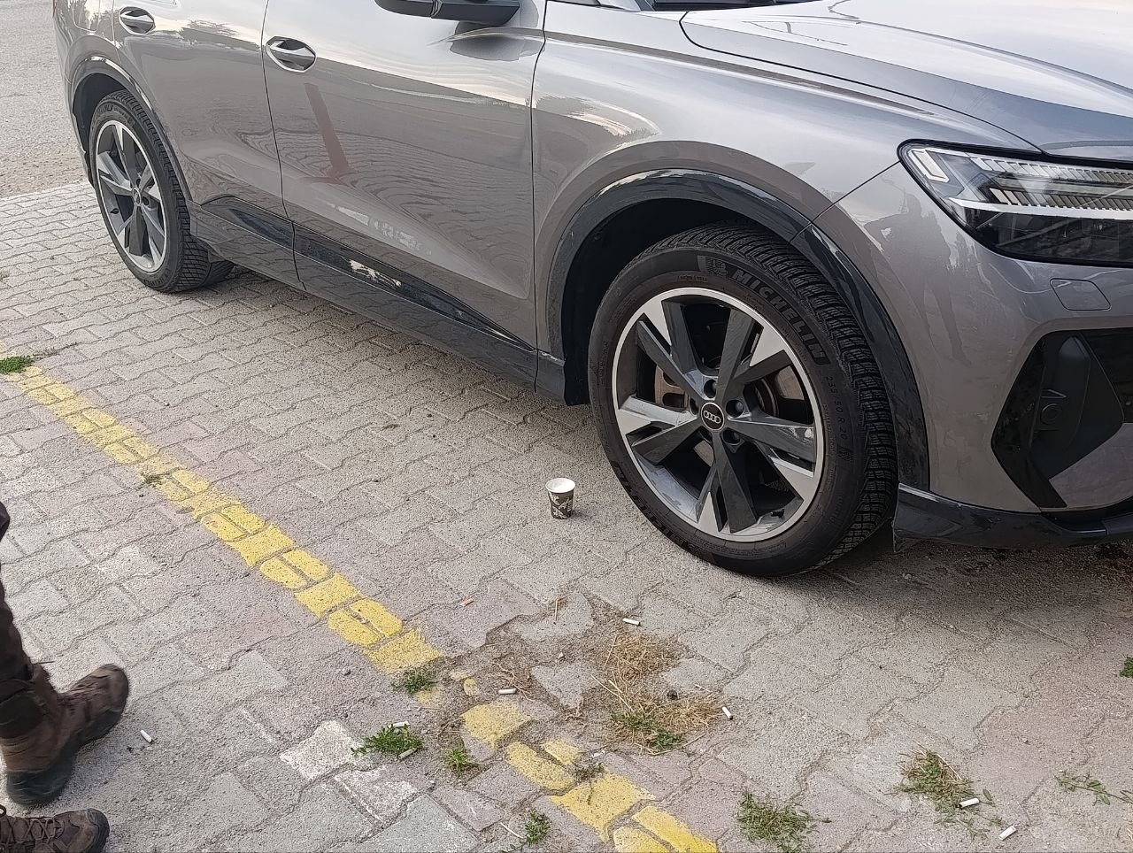 Polis bu kez bir yavru kedi için seferber oldu