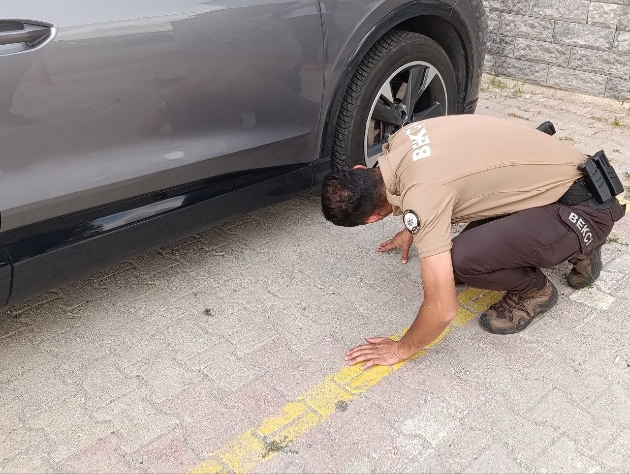 Polis bu kez bir yavru kedi için seferber oldu