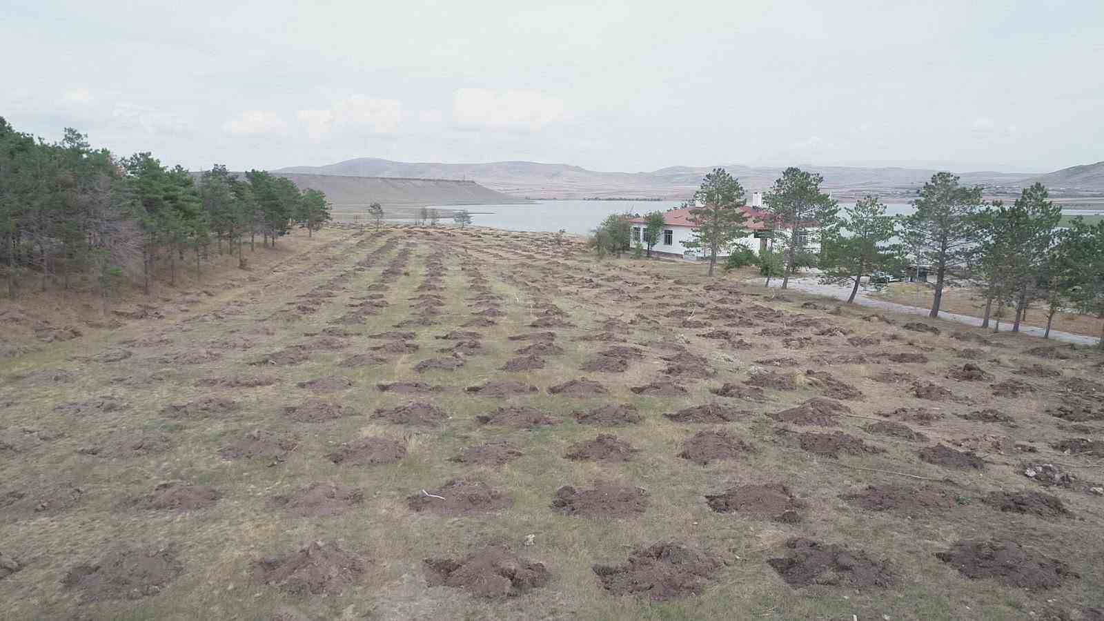Kars’ta "Yeşil Vatan" için kurumlar güçlerini birleştirdi