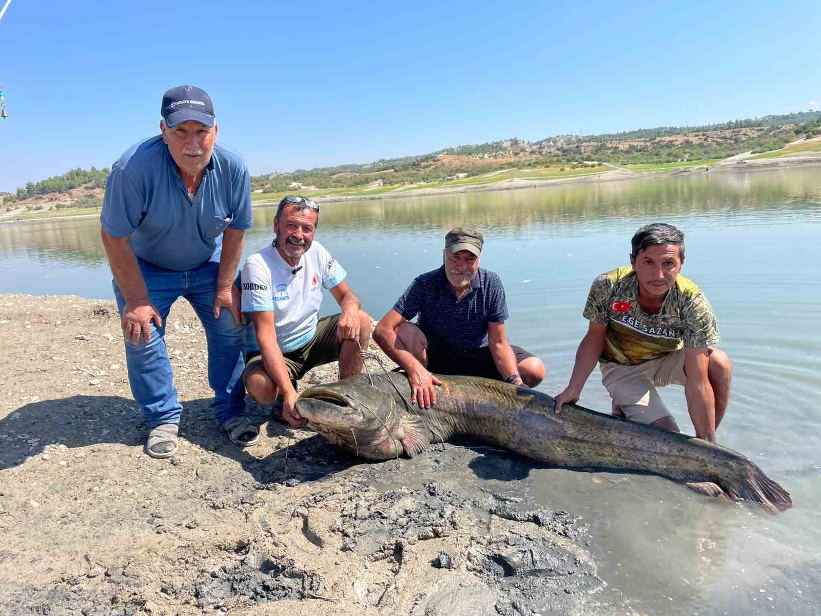 Baraj gölündeki iki dev yayın balığı oltaya takıldı