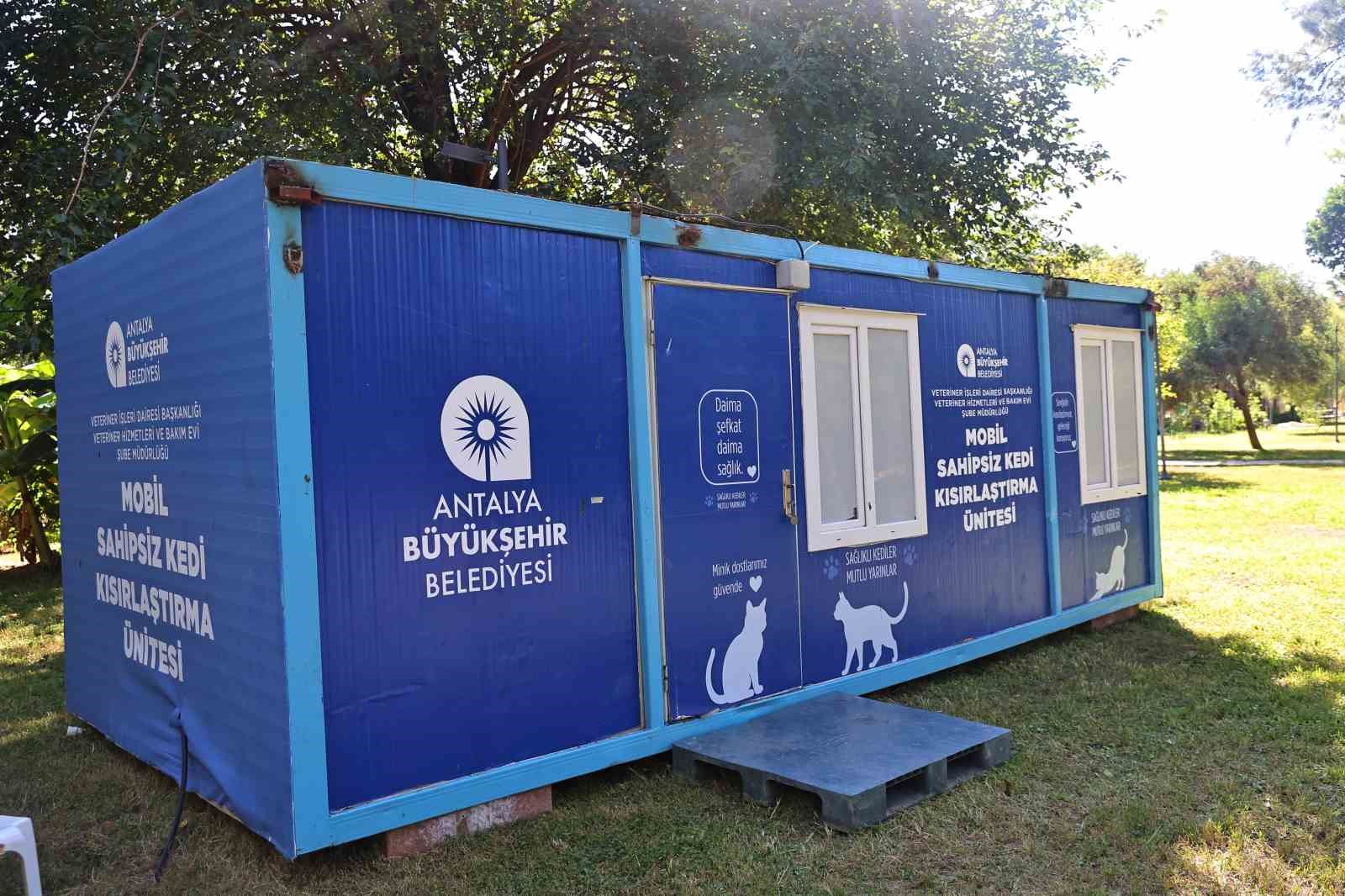 Mobil sahipsiz kedi kısırlaştırma ünitesi Karaalioğlu Parkı’nda