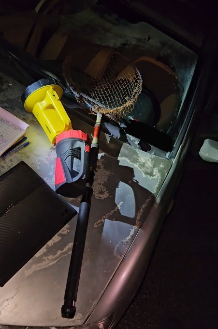 Kastamonu’da kaçak bıldırcın avlayan şahıslara 622 bin lira ceza