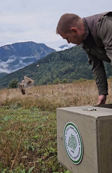 Kastamonu’da kaçak bıldırcın avlayan şahıslara 622 bin lira ceza