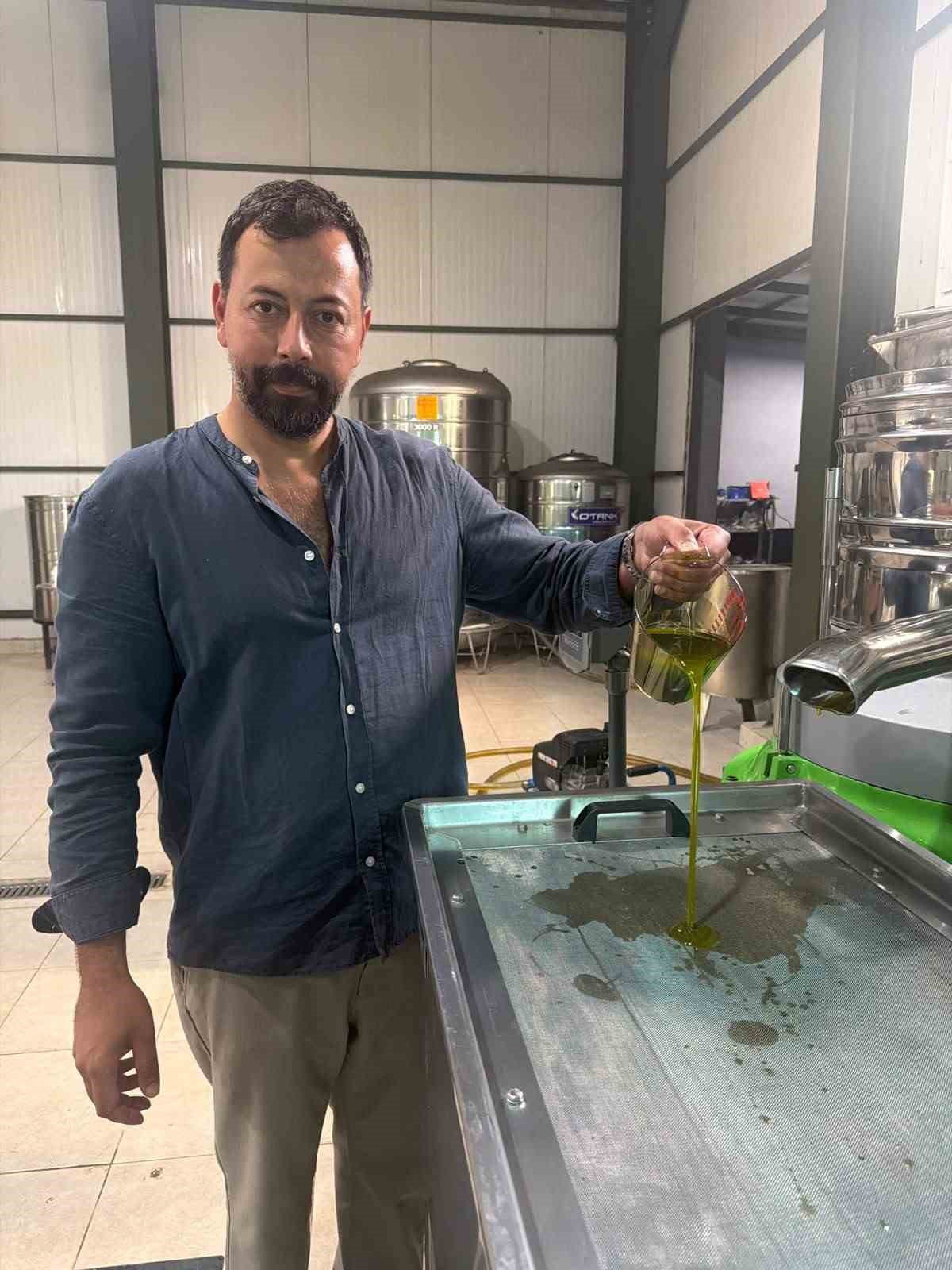 Avrupa ilaç yerine ilk hasat zeytinyağı içiyor