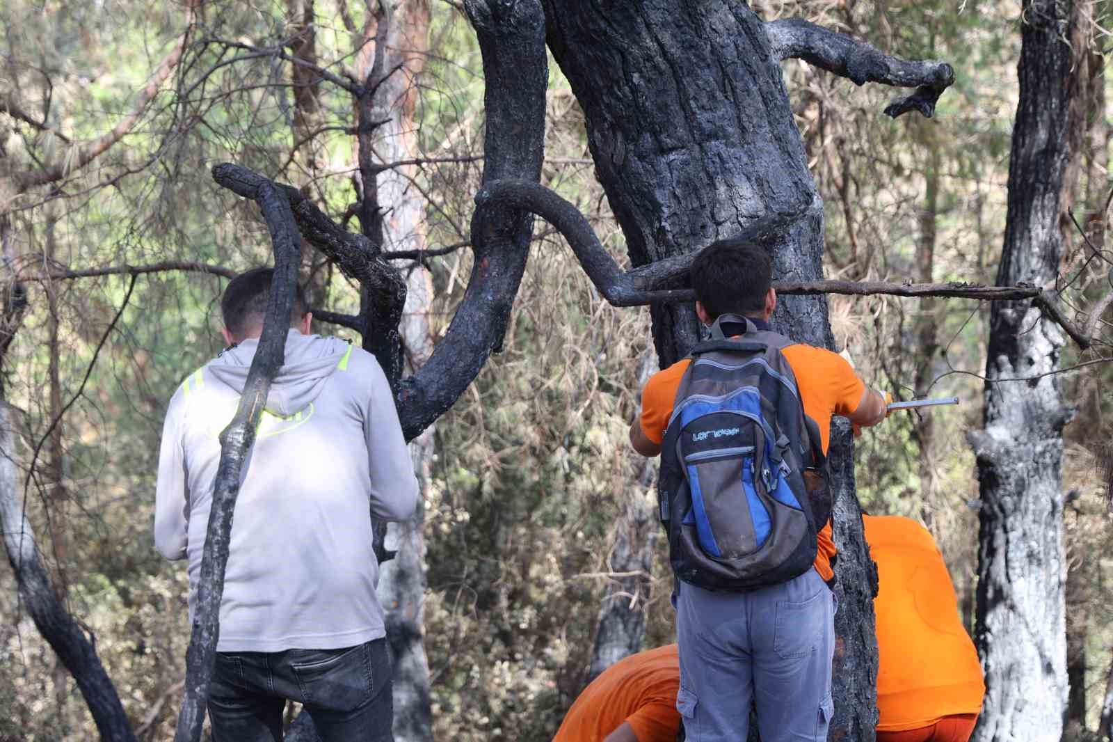Kozan’da yanan 5 bin 900 hektarlık alanda yeniden yeşil vatan mesaisi başladı: Ağaçlar tek tek damgalanıyor