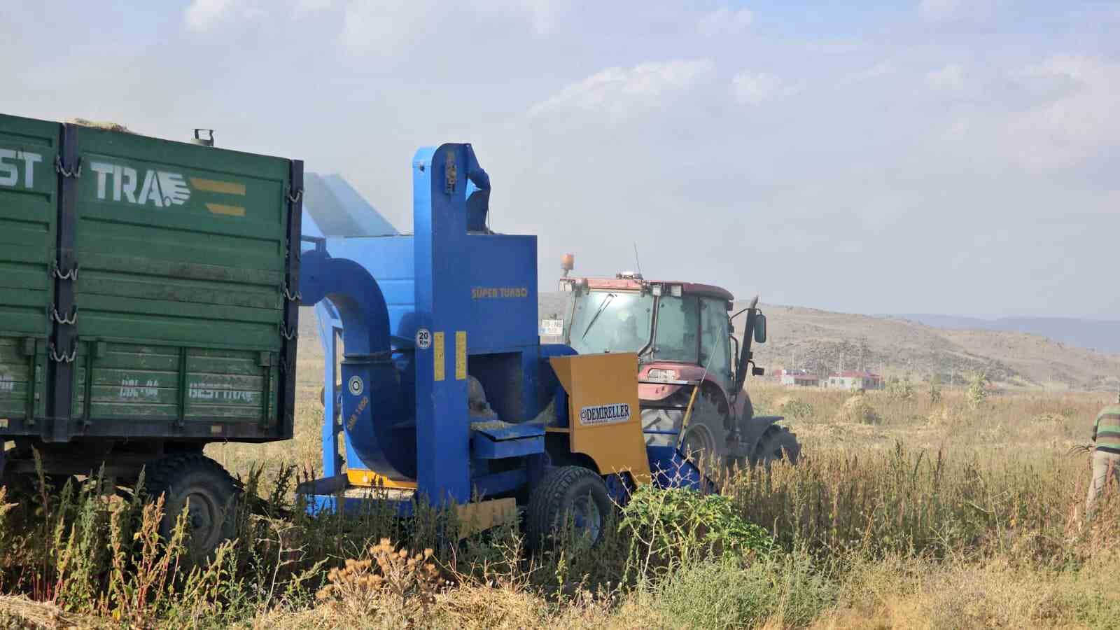Tarımın kalbi Adilcevaz’da fasulye hasadına başlandı