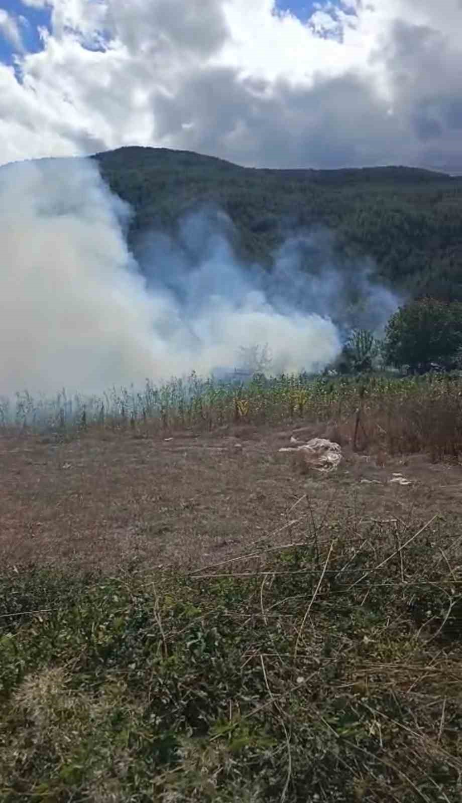 Korkutan ot yangını evlere sıçramadan söndürüldü