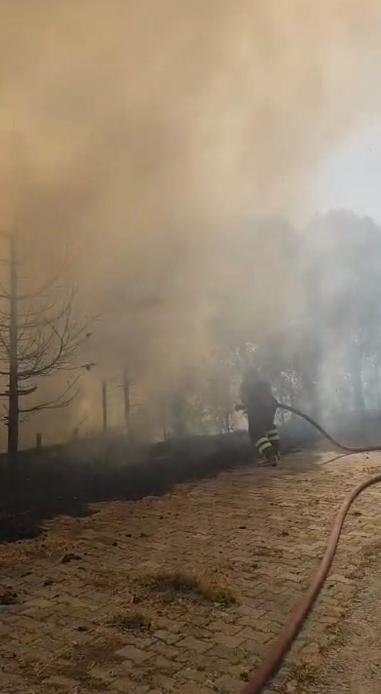 Muş’ta iki bölgede çıkan anız yangınları söndürüldü