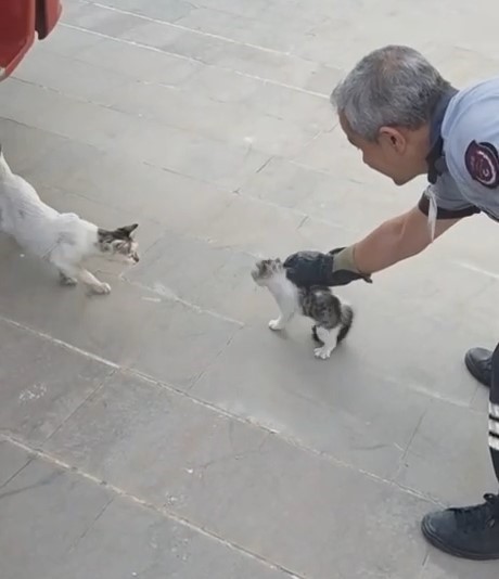 Havalandırma boşluğuna düşen yavru kediyi itfaiye kurtardı