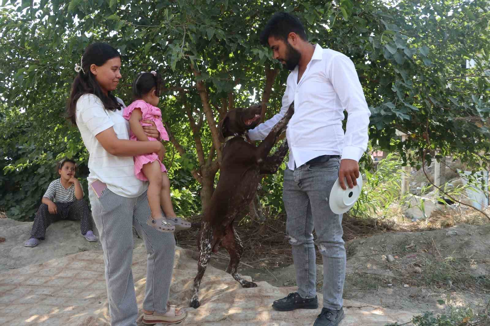 Adana’da köpeğe sopayla şiddet güvenlik kamerasında