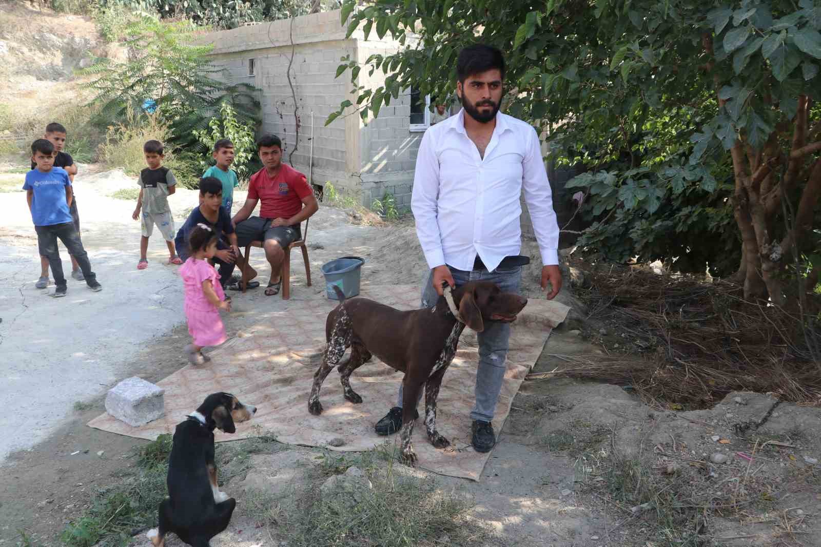 Adana’da köpeğe sopayla şiddet güvenlik kamerasında