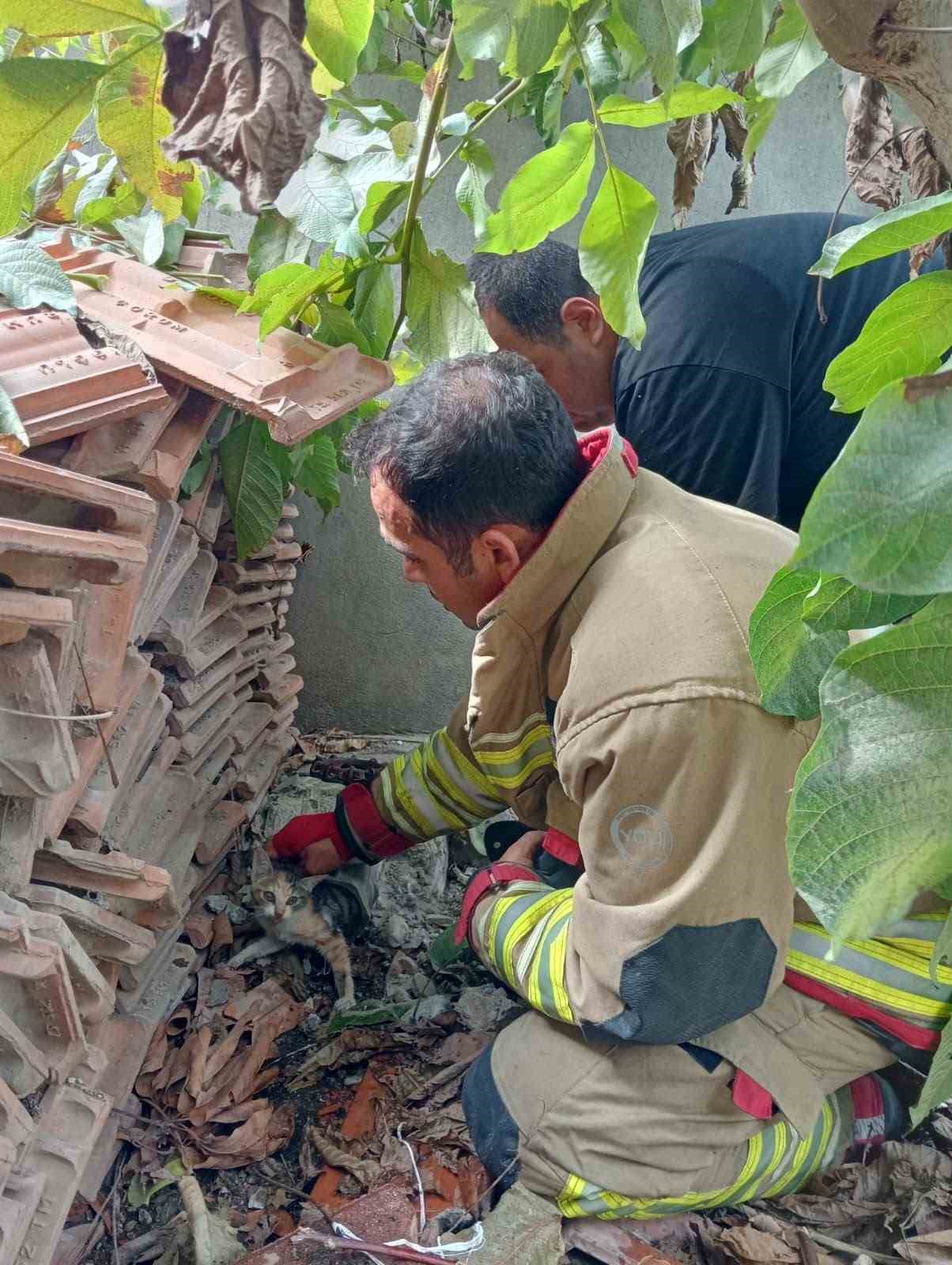 Vanaya sıkışarak mahsur kalan yavru kedi, itfaiye ekiplerinin çalışmasıyla kurtarıldı