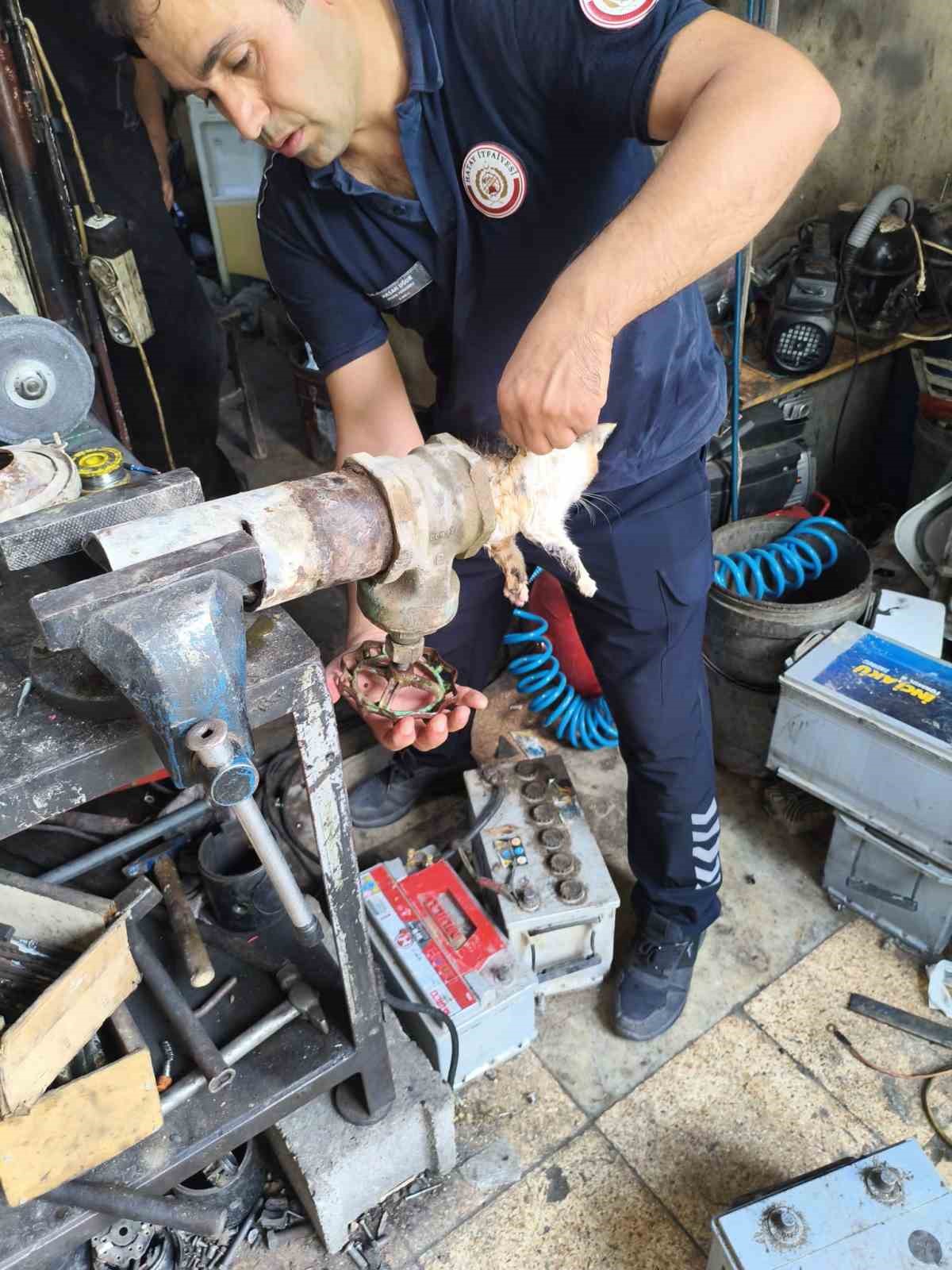 Vanaya sıkışarak mahsur kalan yavru kedi, itfaiye ekiplerinin çalışmasıyla kurtarıldı