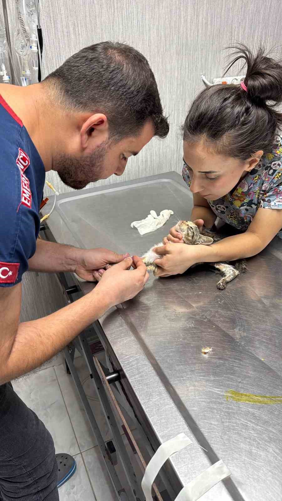 Vanaya sıkışarak mahsur kalan yavru kedi, itfaiye ekiplerinin çalışmasıyla kurtarıldı