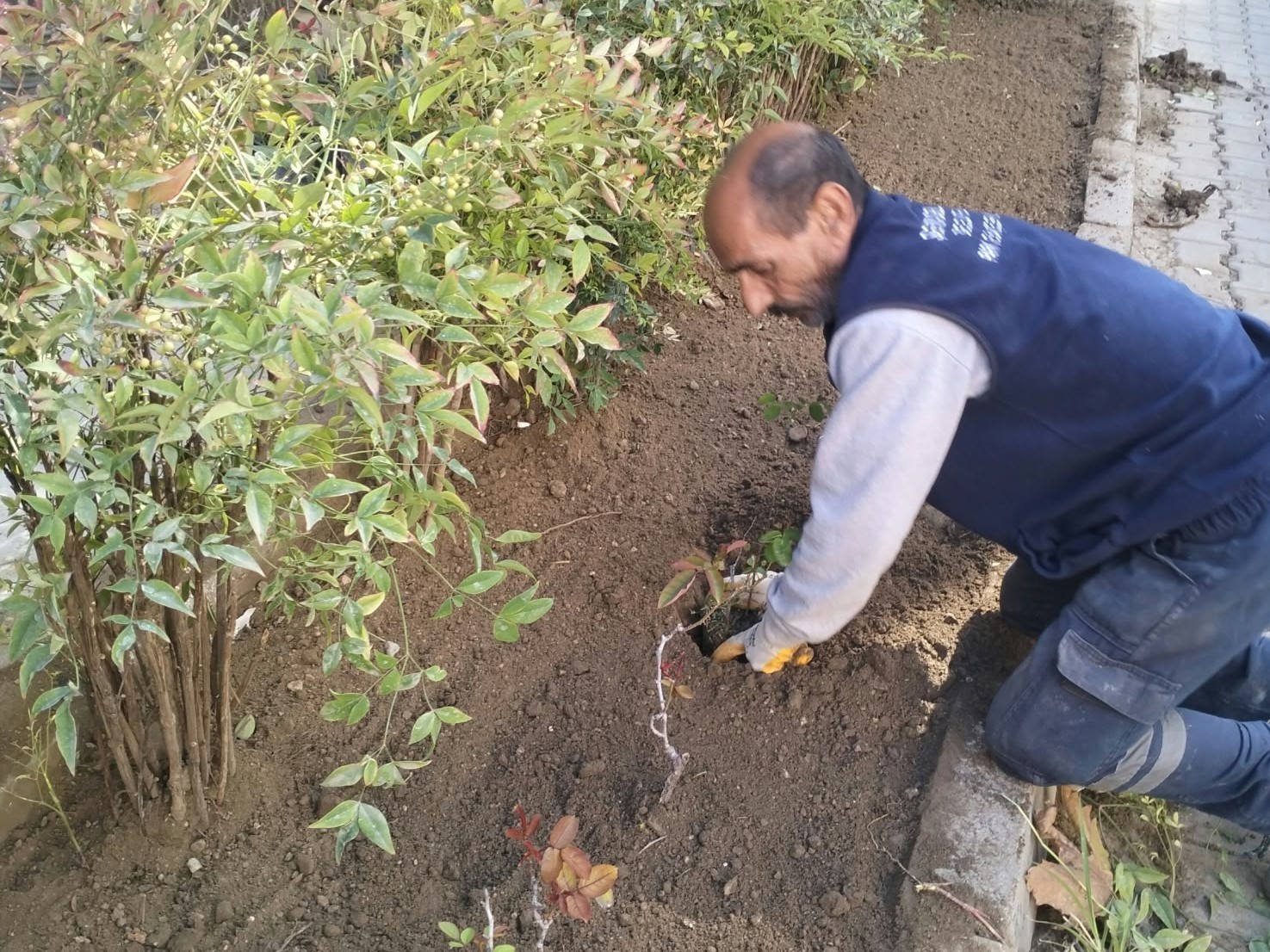 Şehzadeler’de parklar dört mevsim bakımlı tutuluyor