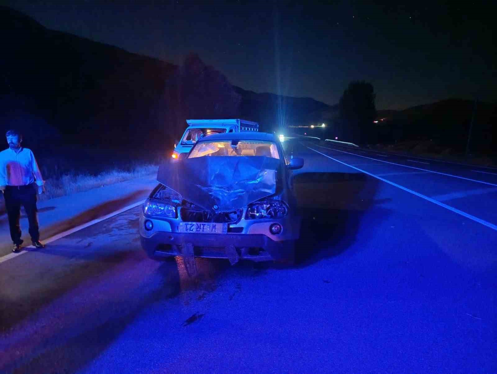 Bingöl’de araç ata çarptı: 1 yaralı