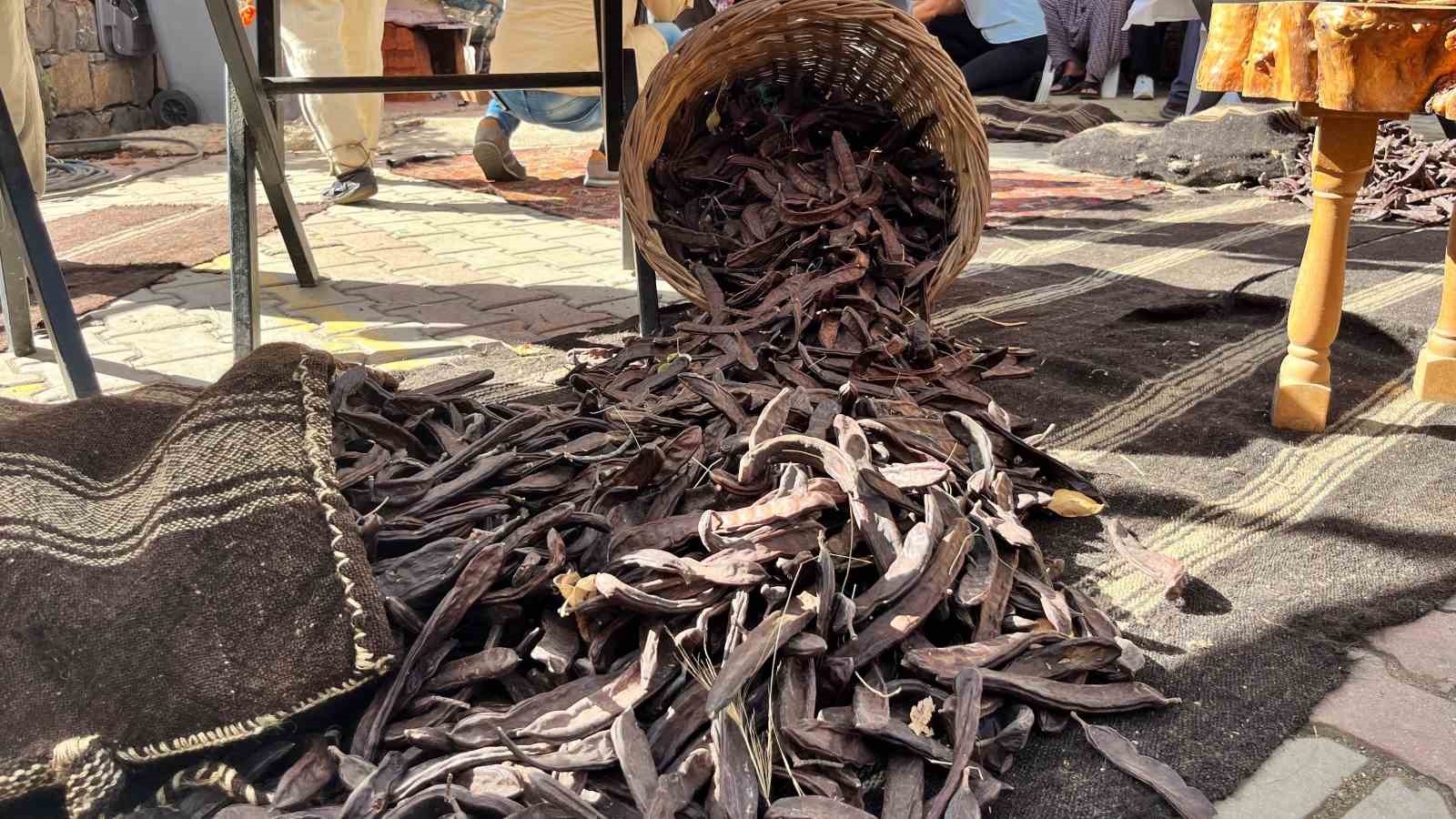 Alanya’da "En Ağır Keçiboynuzu" yarışması renkli anlara sahne oldu