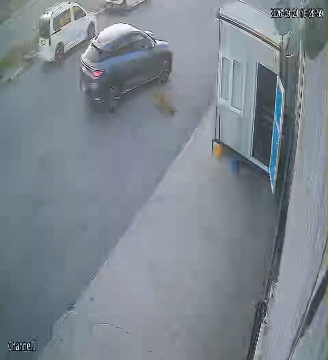 Görenlerin içini sızlatan görüntü