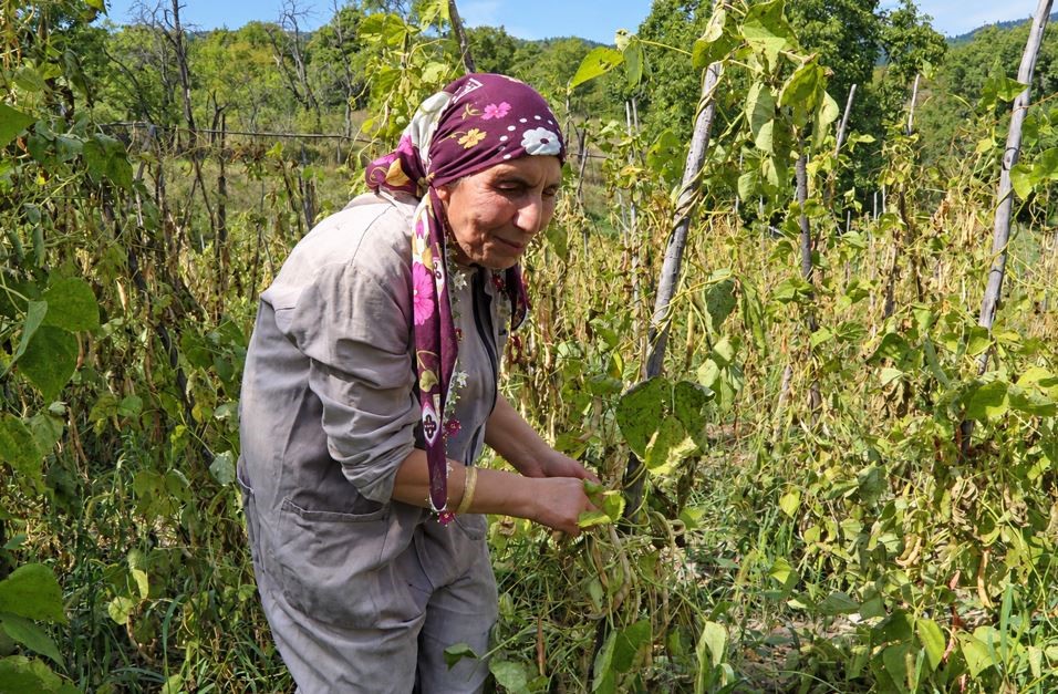 Görmedikleri köyü ezberlediler, hayatı birlikte omuzladılar
