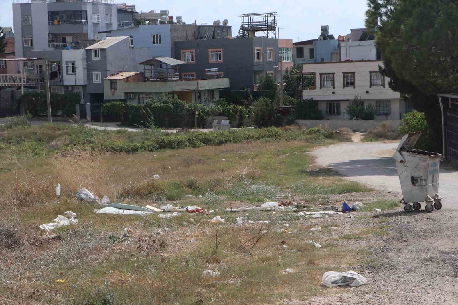 Adana’da cırcır böceği sesleri vatandaşları uyutmuyor