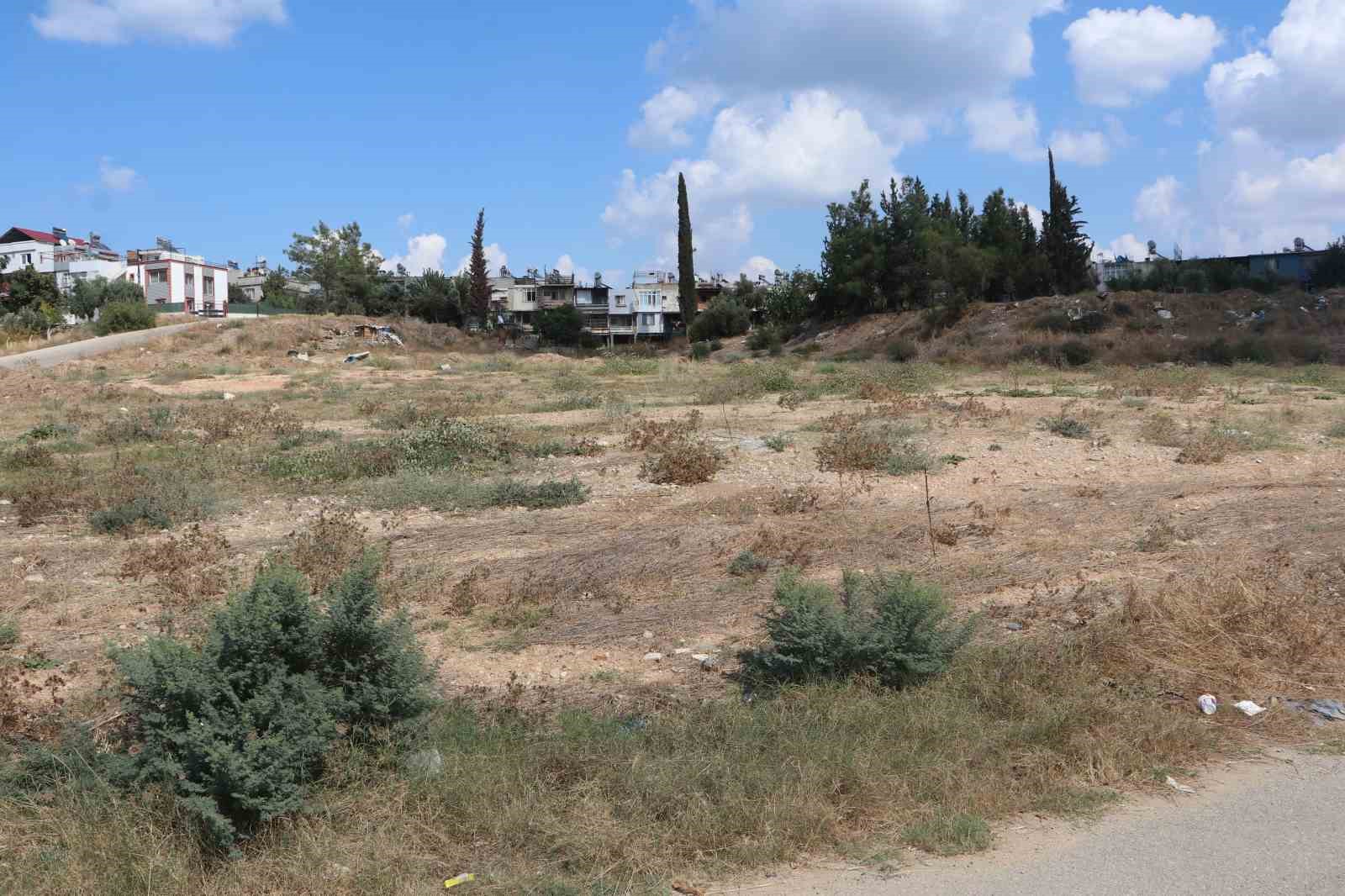 Adana’da cırcır böceği sesleri vatandaşları uyutmuyor