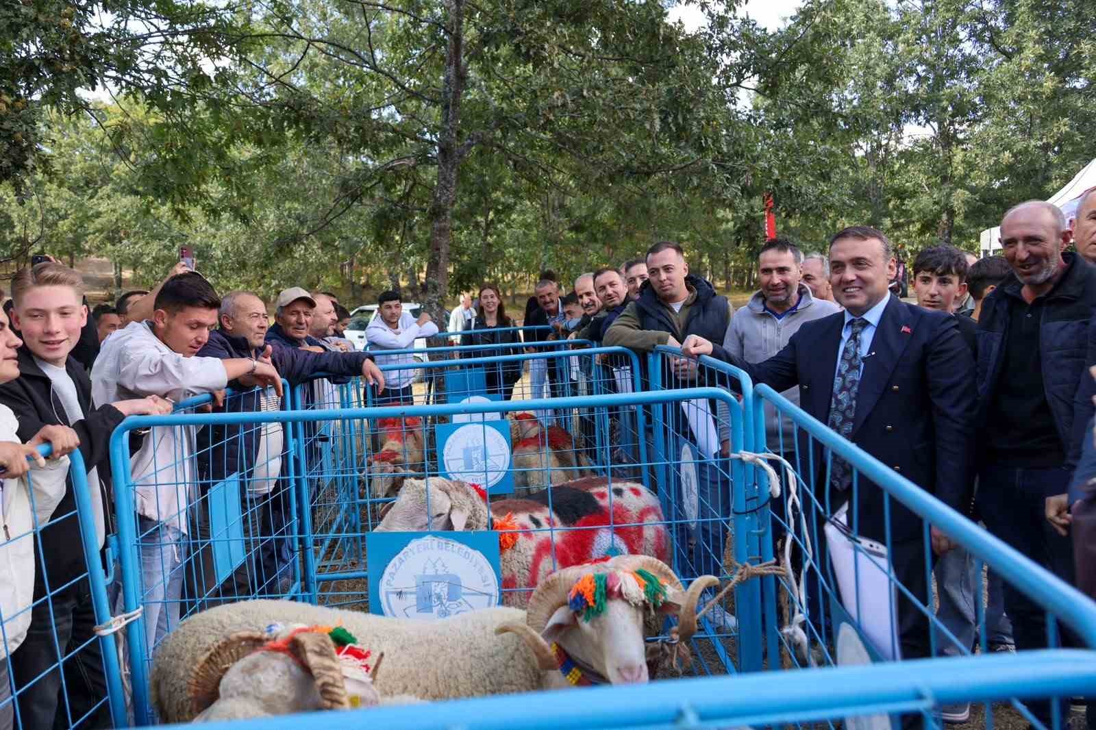 Bilecik’te 166 bin küçükbaş için koç katım dönemi başladı
