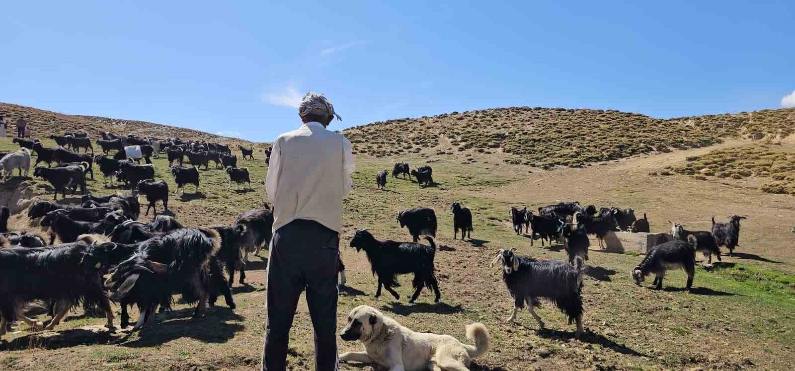 Bursa’dan köyüne döndü, hayvancılıkla geçimini sağlıyor