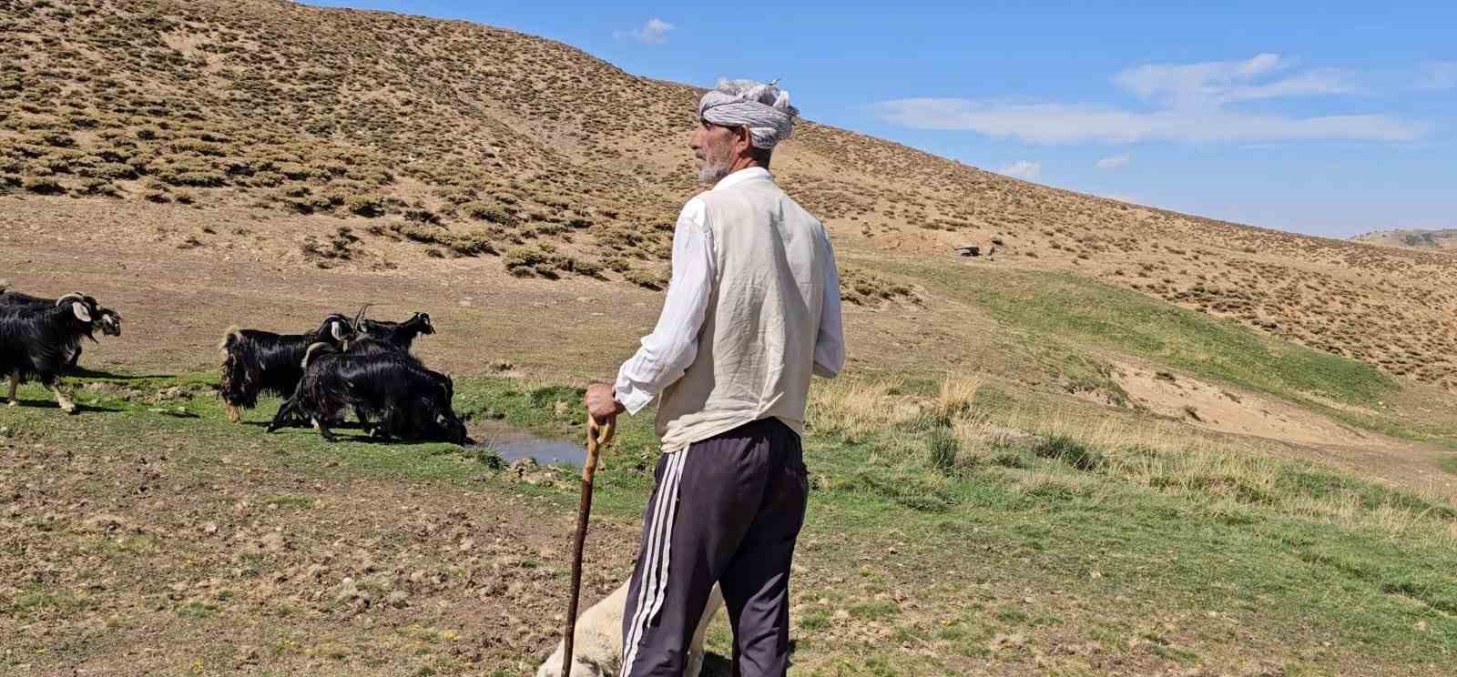 Bursa’dan köyüne döndü, hayvancılıkla geçimini sağlıyor