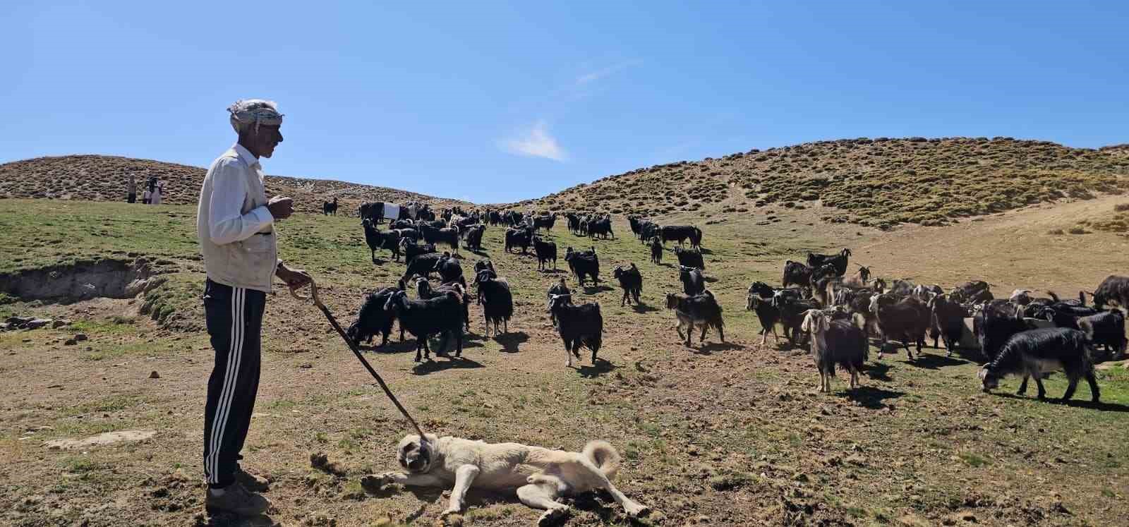 Bursa’dan köyüne döndü, hayvancılıkla geçimini sağlıyor