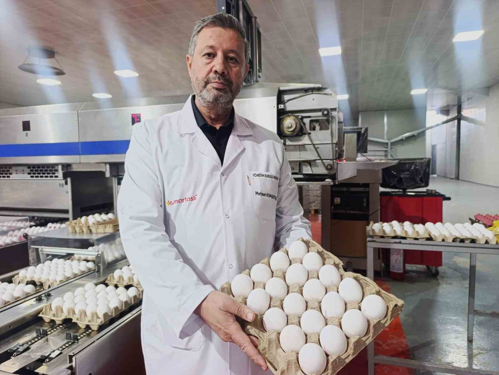 Yumurta üreticilerinin gözü Tahıl Koridoru’nda