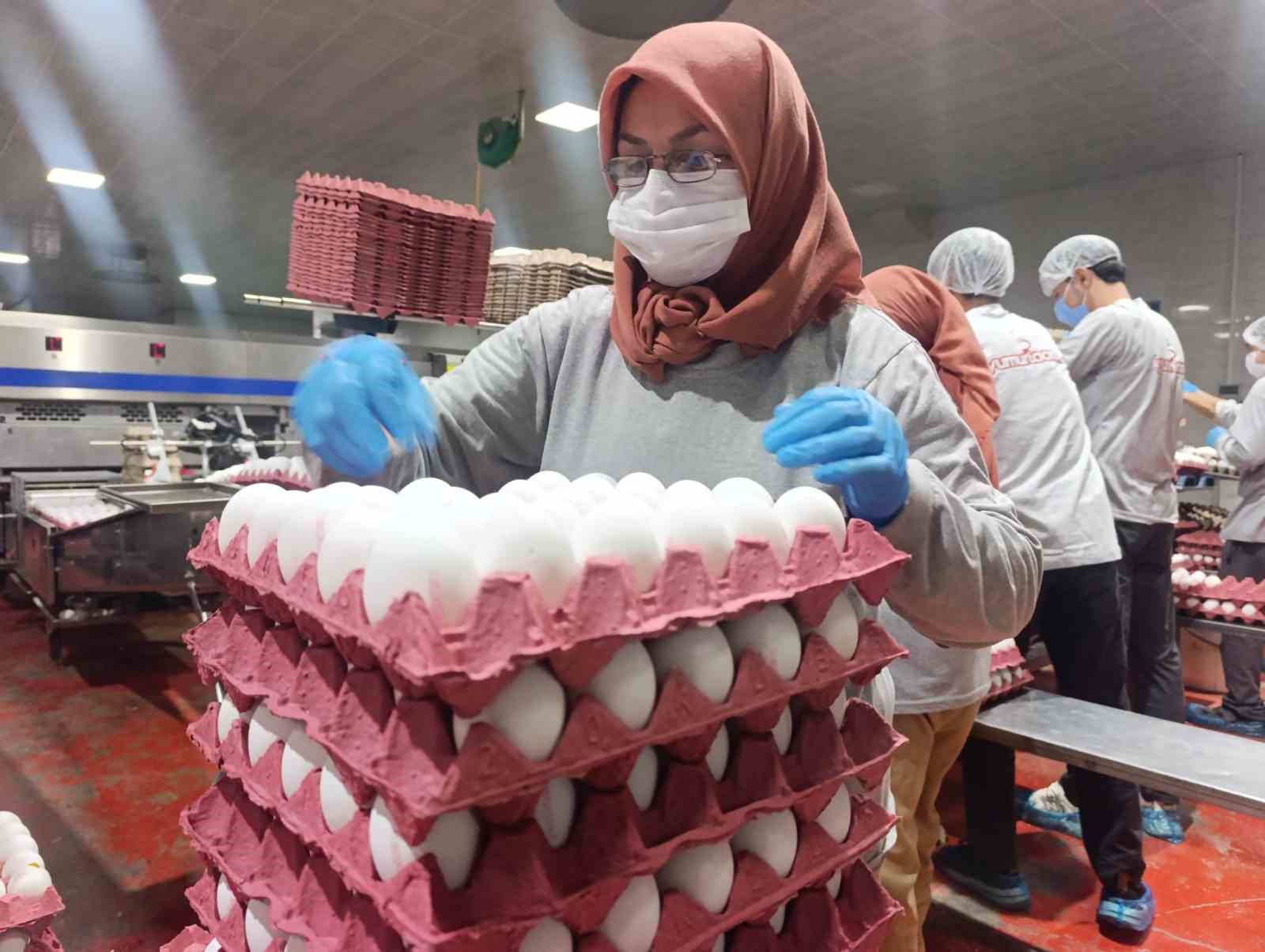 Yumurta üreticilerinin gözü Tahıl Koridoru’nda