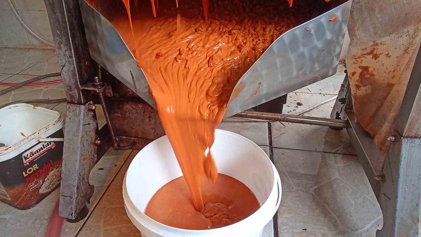 Günler süren işlem dakikalara indi: Kuşburnu marmeladı zamanı